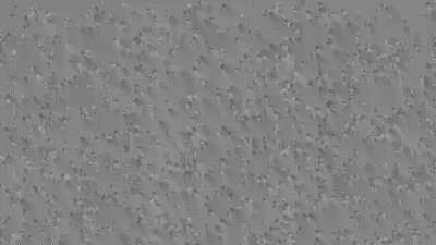 white noise for your fun