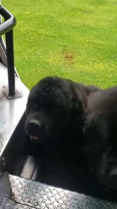 Probably the best part of his job