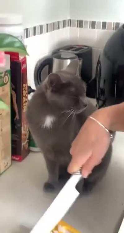 Wonders why the air is so spicy?