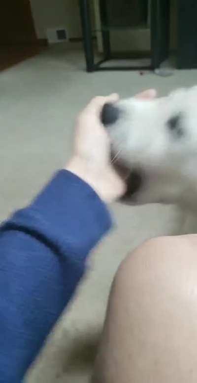 Found this old video and thought it'd fit here