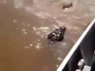 Never mess with a man’s fish