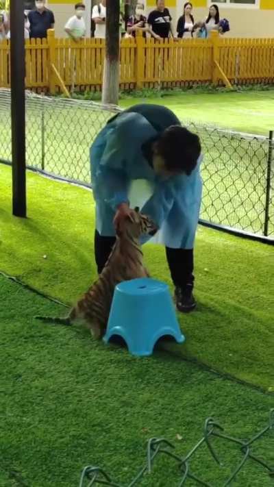 When your confidence hits harder than your attack 😂