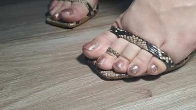 Goddess versus insect - pt. 4, disposal of the loser's remains 