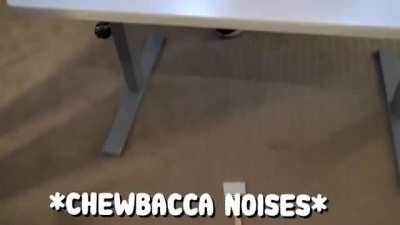 Learn the alphabet with Unus Annus