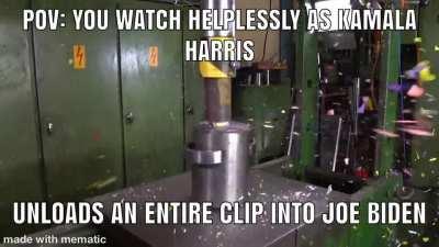 Wholesome Assassination 100