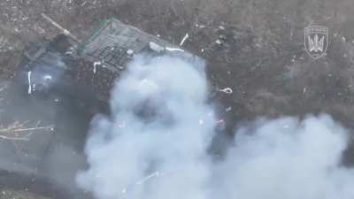 Greatest hits compilation of Ukrainian FPV drones obliterating Russian infantry in the Pokrovsk region *GRAPHIC*