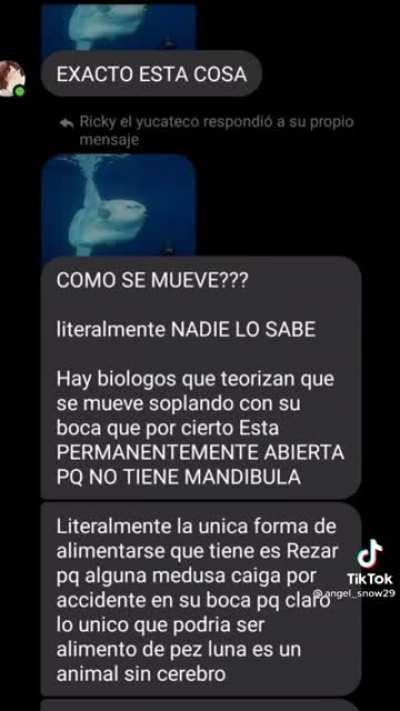 Jaja,que inutil