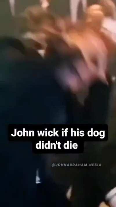 John Abraham Wick