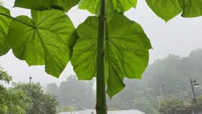 Waiting out the rain in Cherokee, NC