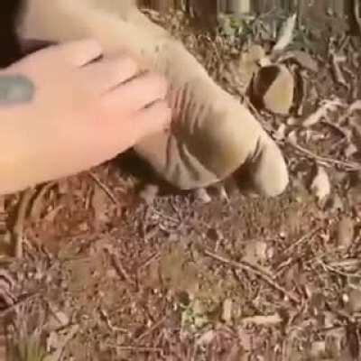 Cosquillas al Admin 😈😈😈😈😈😈