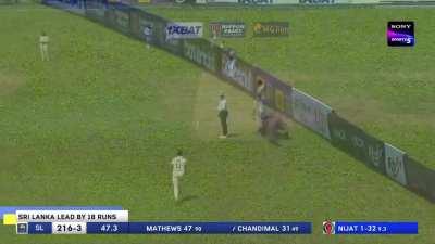 An uninvited guest on the field.