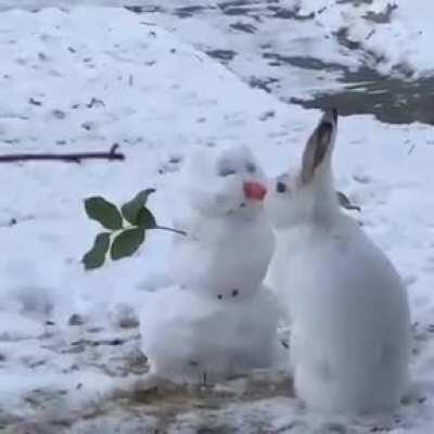 Video of a cute vandal ruining a snowman.