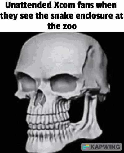 I love this game but the fan base is... odd