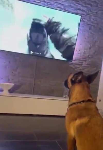 He looks a little nervous now