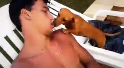 Uma linda história de amor😍😍