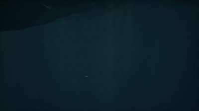 When you've been playing too much Subnautica and go back to Sea of Thieves.