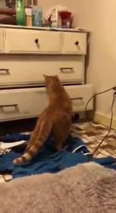 What’s in the drawer?