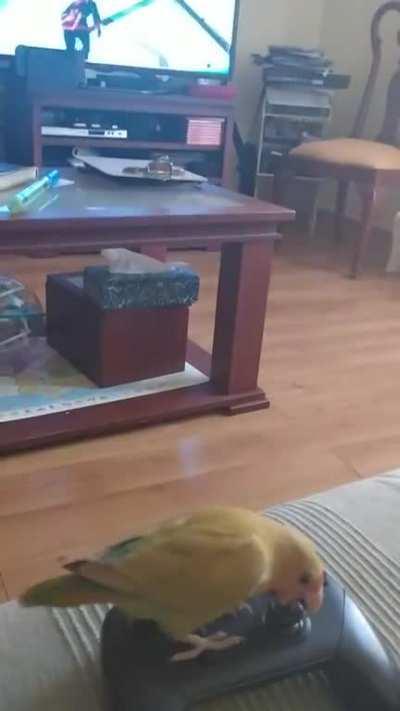 LittleBirb0PingCranking