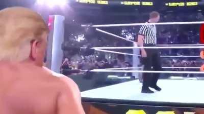 Donald Trump vs. Fake News