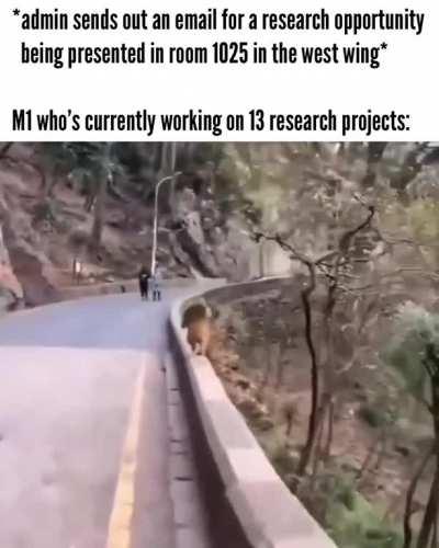 14 is the magic number to match surgery