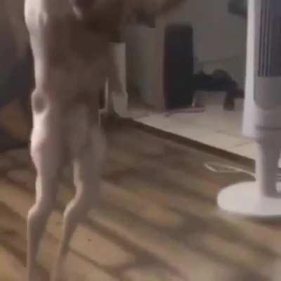 Yo we posting pets? aight bet here’s mine don’t be mean to draco guys