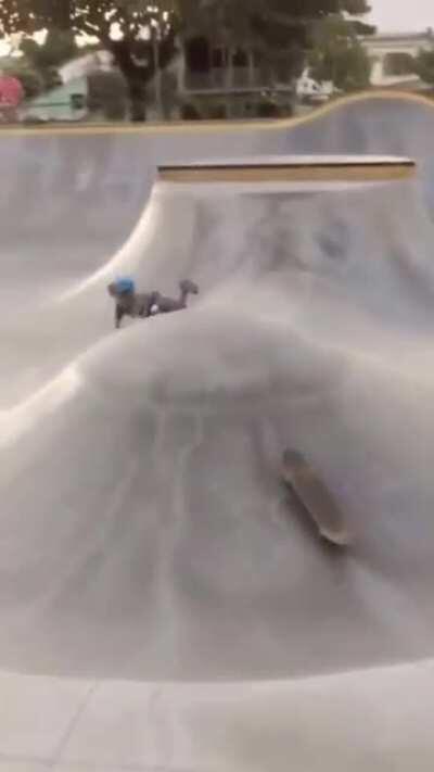 Everyone's favourite mini meatcrayon