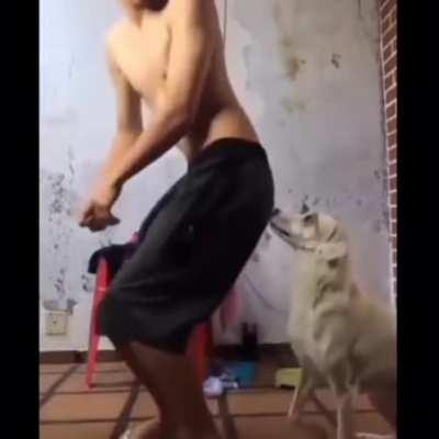 Doing annyoing dance in front of your dog