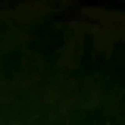 Disgusting Man Burns Cat Alive