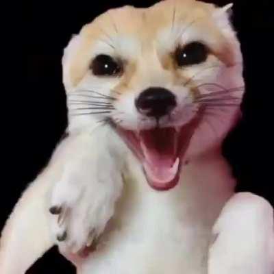 THIS IS GOLD, WHO MADE IT?