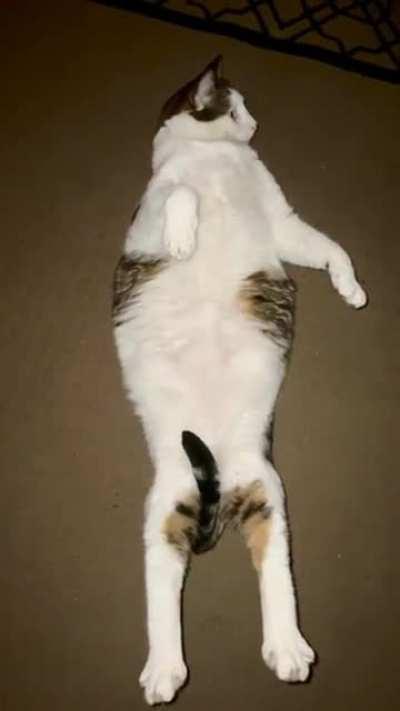 Potato boy with his head to toes stretch