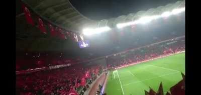 Turkish, Chad, big, muscular karabogas dominating w*sterner sw*dish femboys 1080p hd