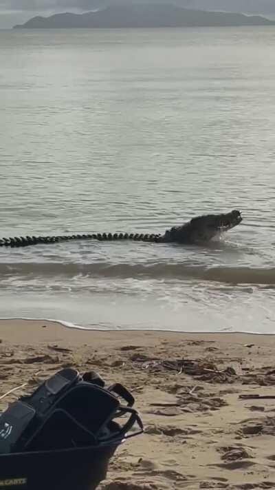 Good job holding steady while that's moving towards you.