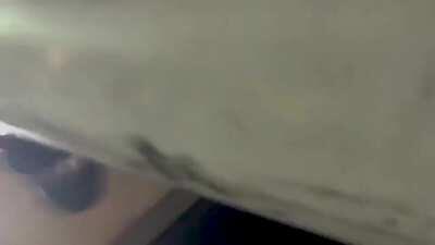 American Dad vs. Mexican Border