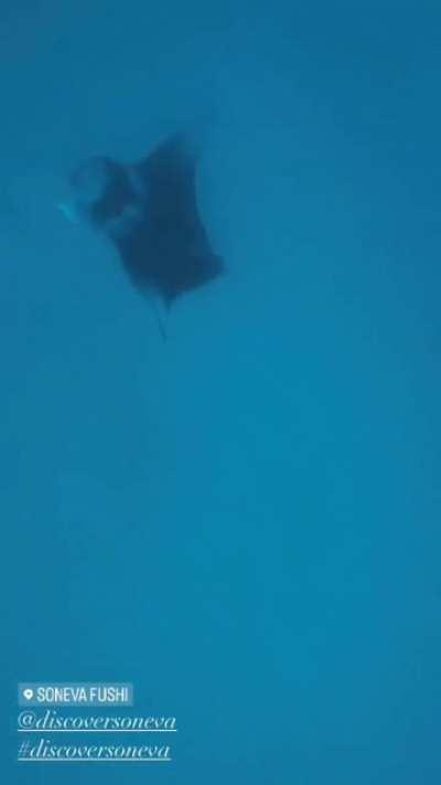 Katrina Kaif Swimming Under Water Video