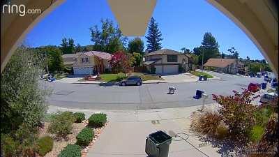 Everything can be a thrill ride if you put your mind to it. A.k.a., my dad bringing in the trash cans.