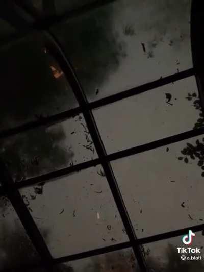 Found this beauty today.