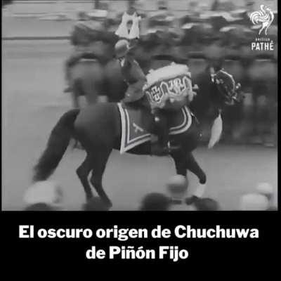 vean la realidad gente, no defiendan lo indefendible.