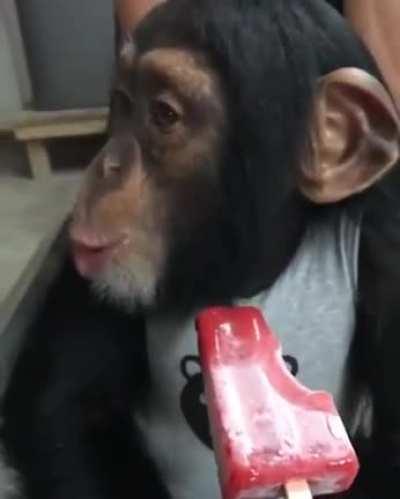 This monkey's face when he tries a Popsicle