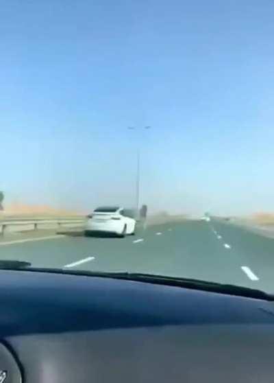 Tesla hitting a camel in the middle of the street, in Dubai.