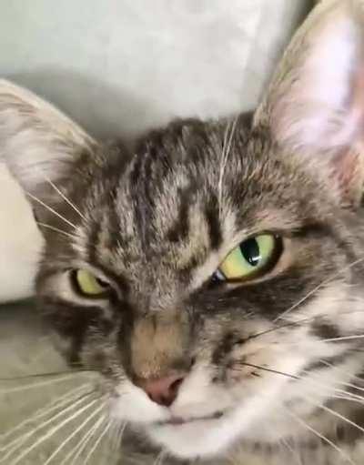 I think he's trying to tell me something