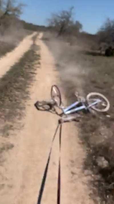 Crazybadwordvideo_guys_happy_summer