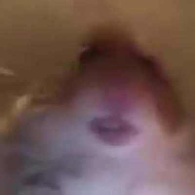 não sei oque falar, apenas sentir