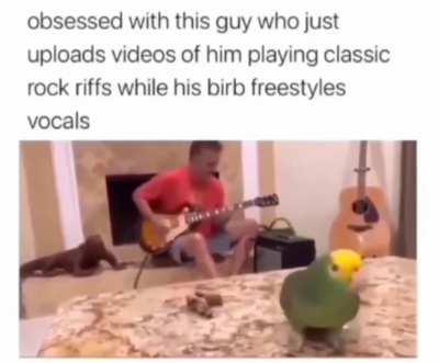 Bird Freestyles to Classic Rock Riffs 😂