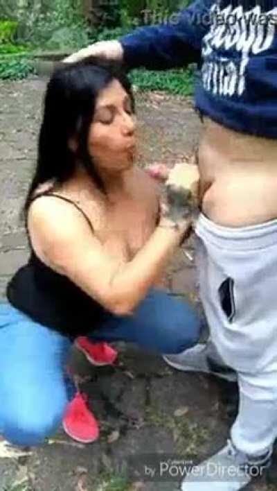 Alecachonda de Veracruz