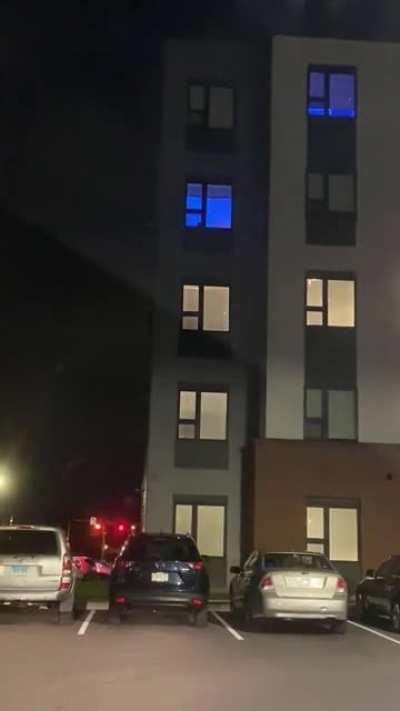 Everyone: Bats at Riverknoll! Meanwhile at Apex: