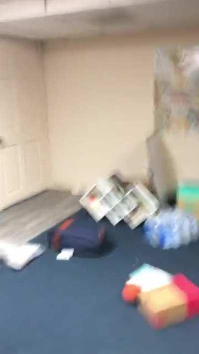 I thought cats were supposed to help with rodents…