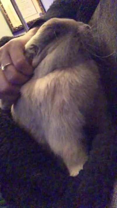 mommm..dat feels so niceeee