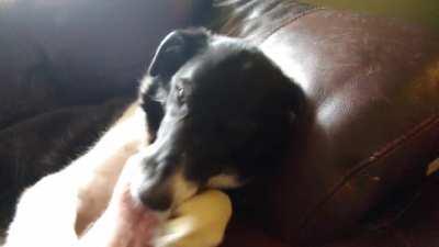 Greeting my deaf friend of 14 years after coming home from work