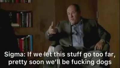 Sigma #545 | Be Homophobic