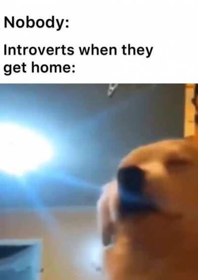 How do you do fellow introverts